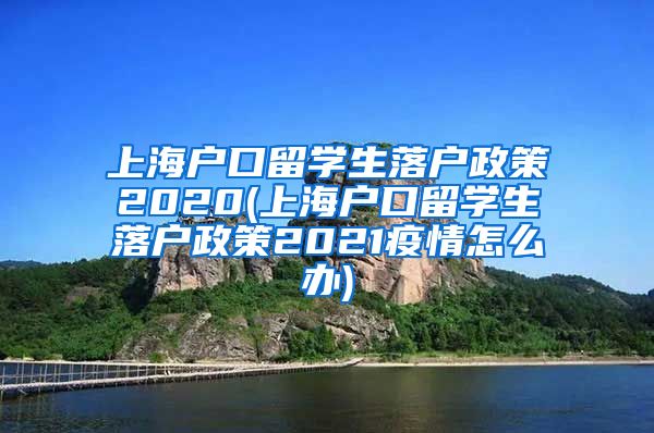 上海户口留学生落户政策2020(上海户口留学生落户政策2021疫情怎么办)