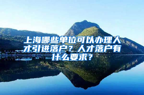 上海哪些单位可以办理人才引进落户？人才落户有什么要求？