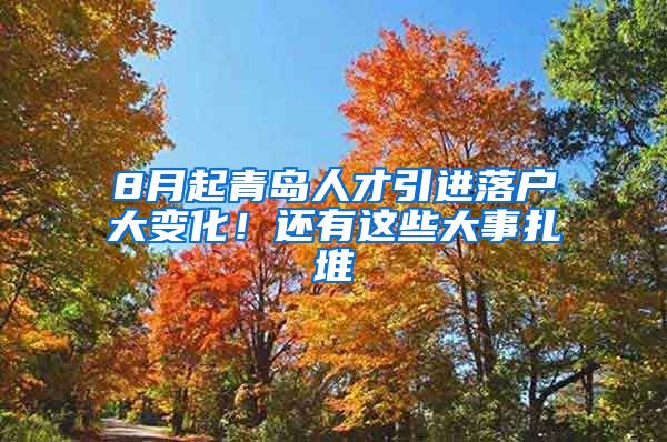 8月起青岛人才引进落户大变化！还有这些大事扎堆