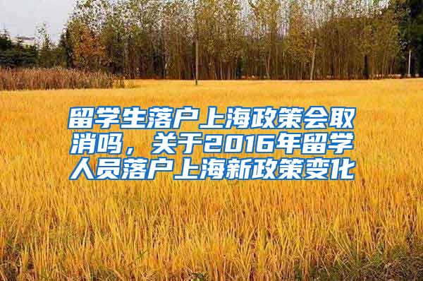 留学生落户上海政策会取消吗，关于2016年留学人员落户上海新政策变化