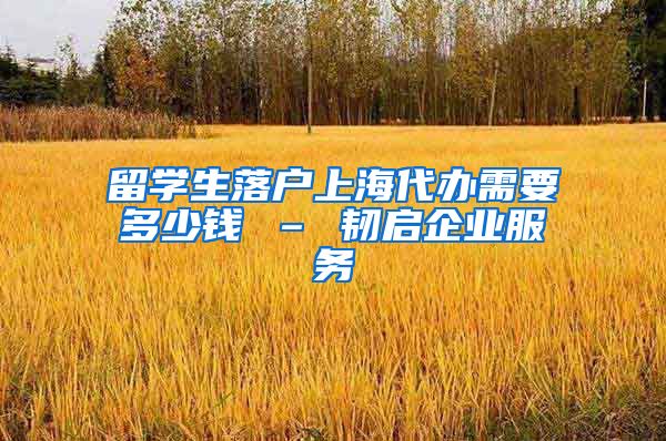 留学生落户上海代办需要多少钱 – 韧启企业服务