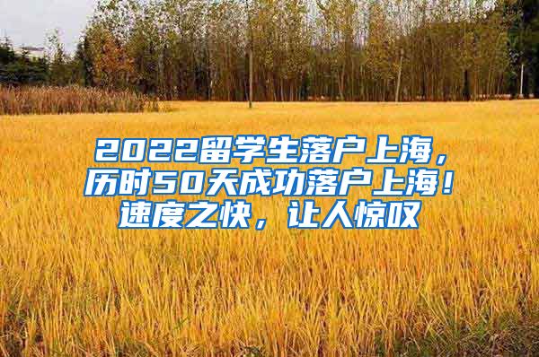 2022留学生落户上海，历时50天成功落户上海！速度之快，让人惊叹