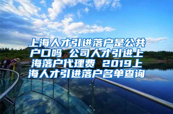 上海人才引进落户是公共户口吗 公司人才引进上海落户代理费 2019上海人才引进落户名单查询