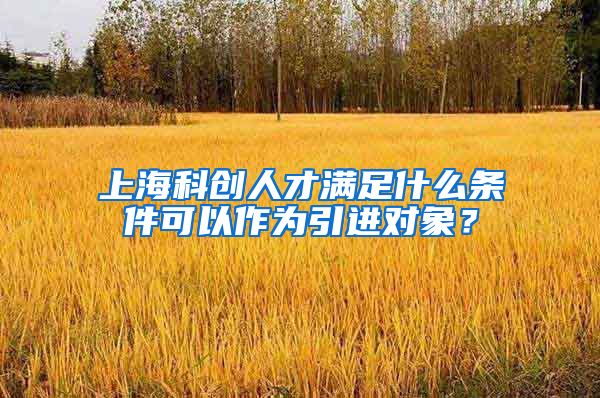 上海科创人才满足什么条件可以作为引进对象？