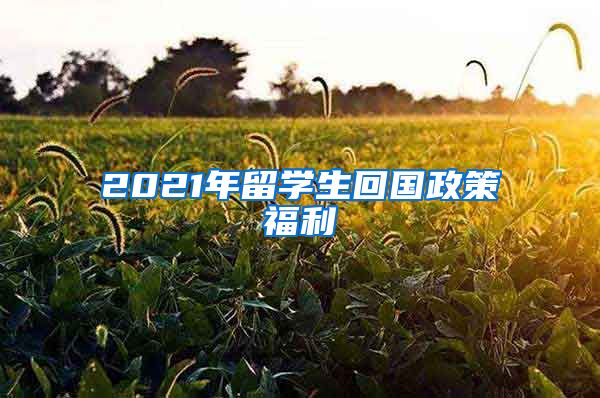 2021年留学生回国政策福利