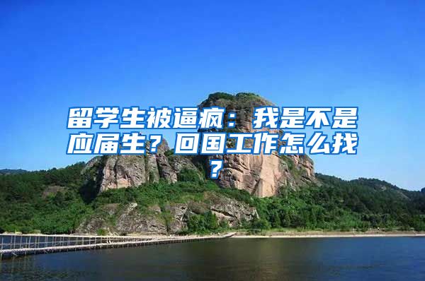 留学生被逼疯：我是不是应届生？回国工作怎么找？