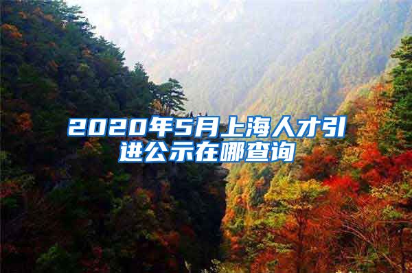 2020年5月上海人才引进公示在哪查询