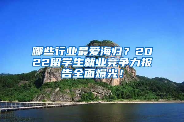 哪些行业最爱海归？2022留学生就业竞争力报告全面爆光！