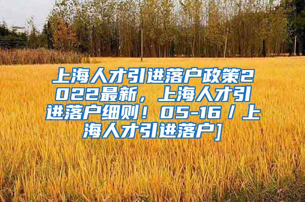 上海人才引进落户政策2022最新，上海人才引进落户细则！05-16／上海人才引进落户]