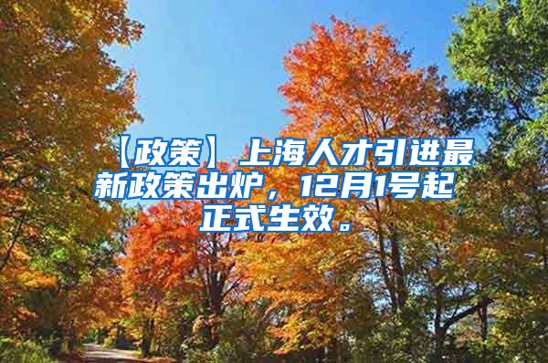 【政策】上海人才引进最新政策出炉，12月1号起正式生效。