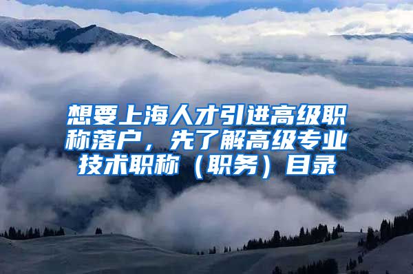 想要上海人才引进高级职称落户，先了解高级专业技术职称（职务）目录