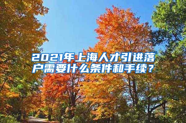 2021年上海人才引进落户需要什么条件和手续？