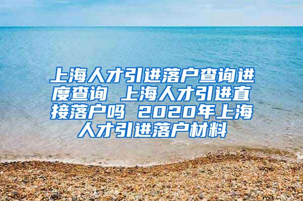 上海人才引进落户查询进度查询 上海人才引进直接落户吗 2020年上海人才引进落户材料