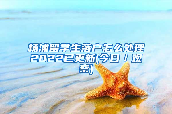 杨浦留学生落户怎么处理2022已更新(今日／观察)