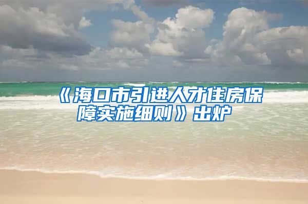 《海口市引进人才住房保障实施细则》出炉