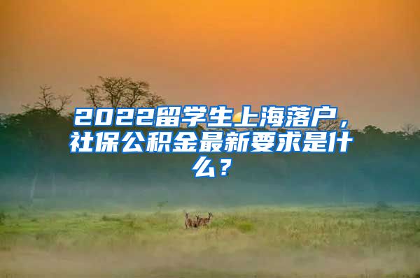 2022留学生上海落户，社保公积金最新要求是什么？