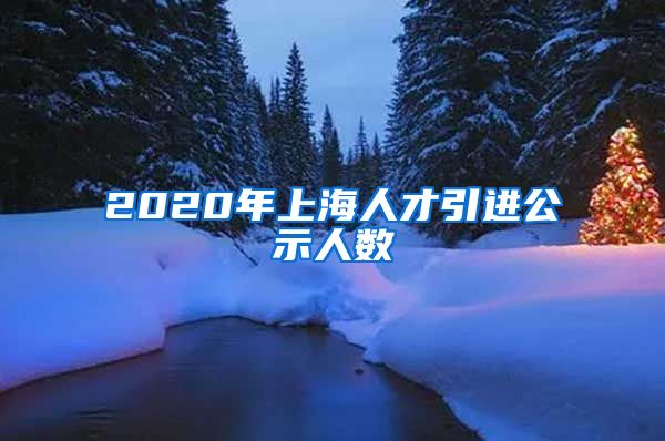 2020年上海人才引进公示人数