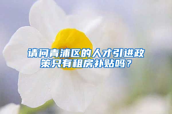 请问青浦区的人才引进政策只有租房补贴吗？