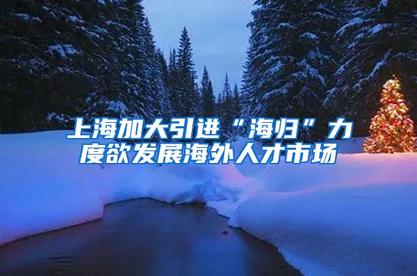 上海加大引进“海归”力度欲发展海外人才市场