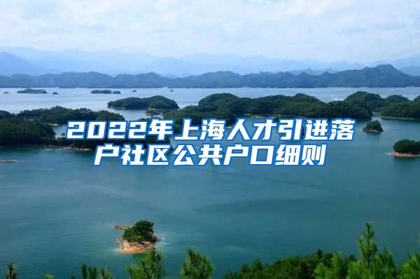 2022年上海人才引进落户社区公共户口细则