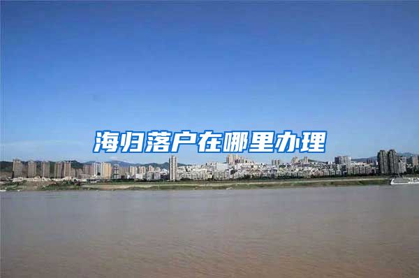 海归落户在哪里办理