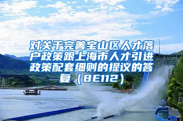 对关于完善宝山区人才落户政策跟上海市人才引进政策配套细则的提议的答复（8E112）