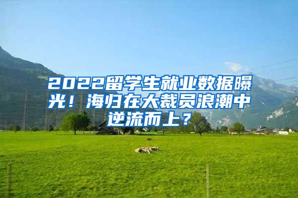 2022留学生就业数据曝光！海归在大裁员浪潮中逆流而上？