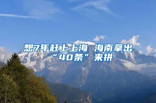 想7年赶上上海 海南拿出“40条”来拼