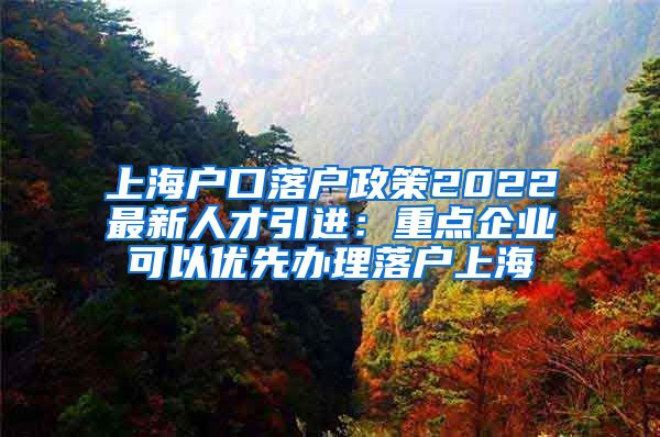 上海户口落户政策2022最新人才引进：重点企业可以优先办理落户上海