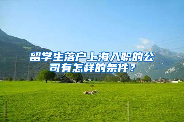 留学生落户上海入职的公司有怎样的条件？