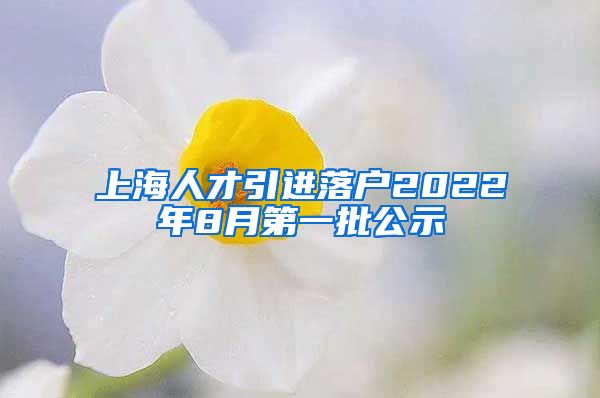 上海人才引进落户2022年8月第一批公示