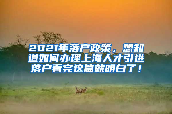 2021年落户政策，想知道如何办理上海人才引进落户看完这篇就明白了！