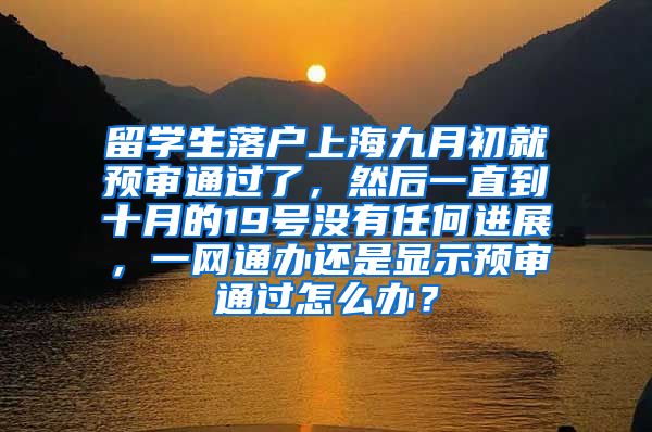 留学生落户上海九月初就预审通过了，然后一直到十月的19号没有任何进展，一网通办还是显示预审通过怎么办？