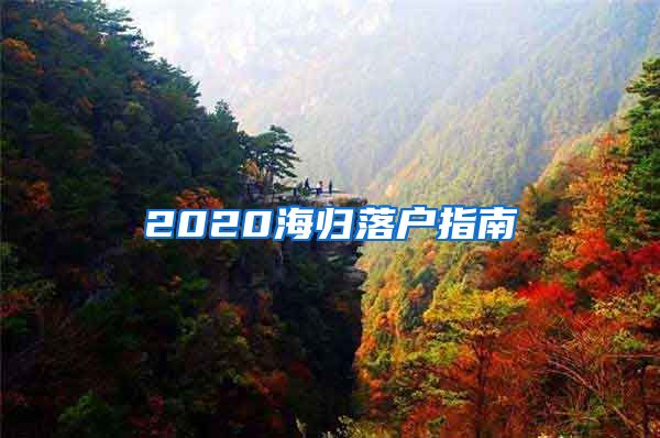 2020海归落户指南