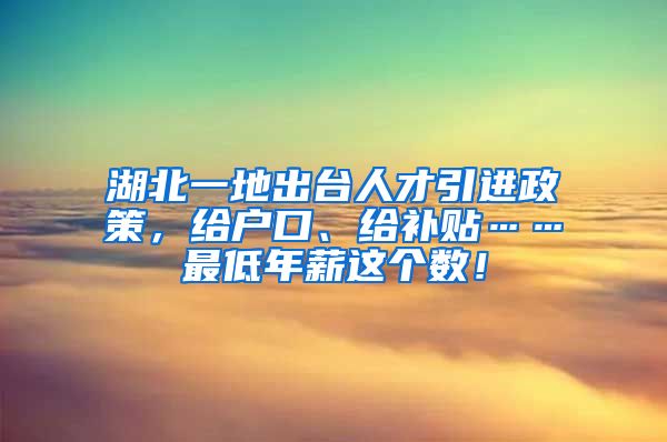 湖北一地出台人才引进政策，给户口、给补贴……最低年薪这个数！