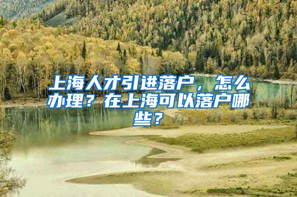 上海人才引进落户，怎么办理？在上海可以落户哪些？