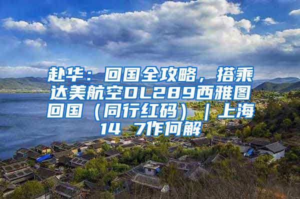 赴华：回国全攻略，搭乘达美航空DL289西雅图回国（同行红码）｜上海14 7作何解