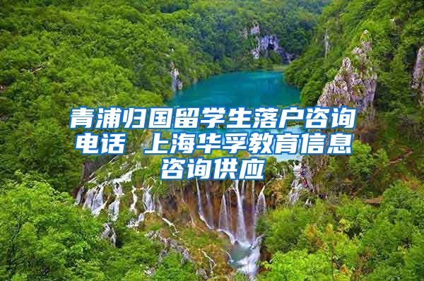 青浦归国留学生落户咨询电话 上海华孚教育信息咨询供应