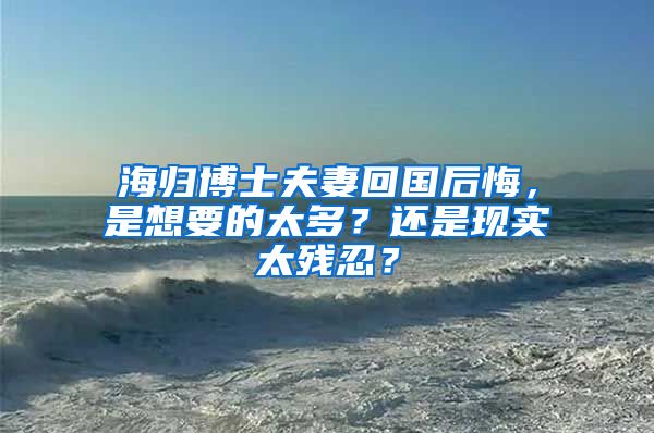 海归博士夫妻回国后悔，是想要的太多？还是现实太残忍？