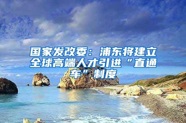 国家发改委：浦东将建立全球高端人才引进“直通车”制度