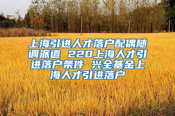 上海引进人才落户配偶随调派遣 220上海人才引进落户条件 兴全基金上海人才引进落户