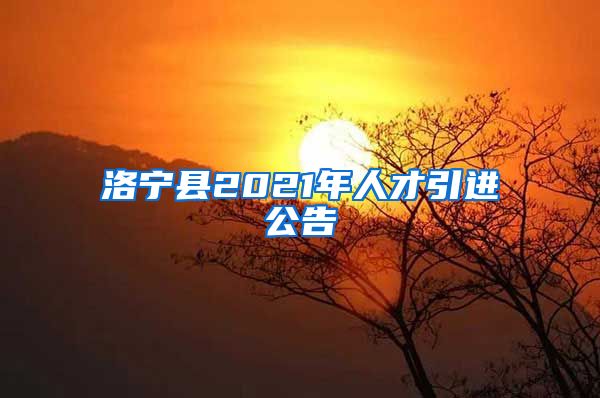 洛宁县2021年人才引进公告