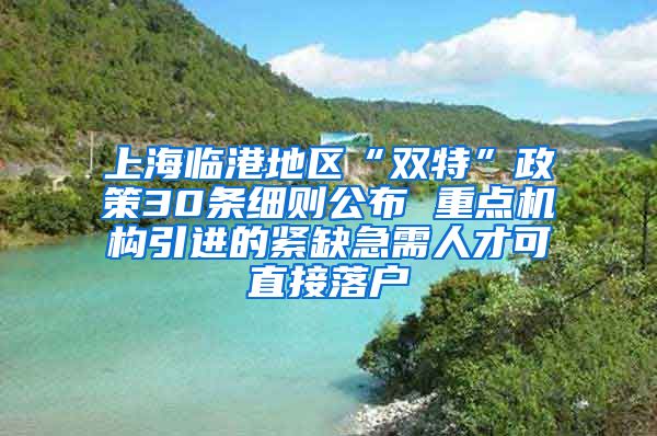 上海临港地区“双特”政策30条细则公布 重点机构引进的紧缺急需人才可直接落户