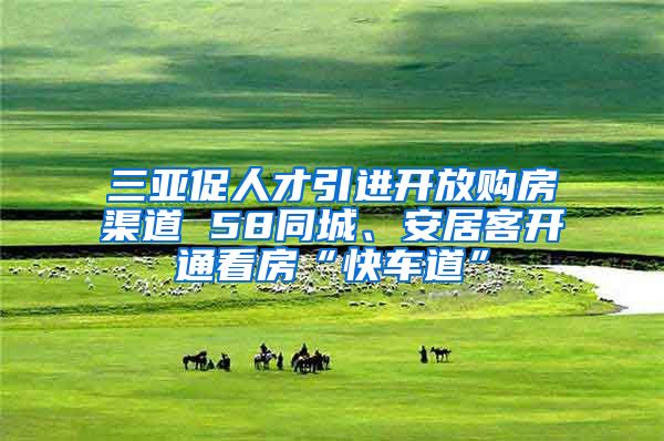 三亚促人才引进开放购房渠道 58同城、安居客开通看房“快车道”