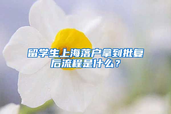 留学生上海落户拿到批复后流程是什么？