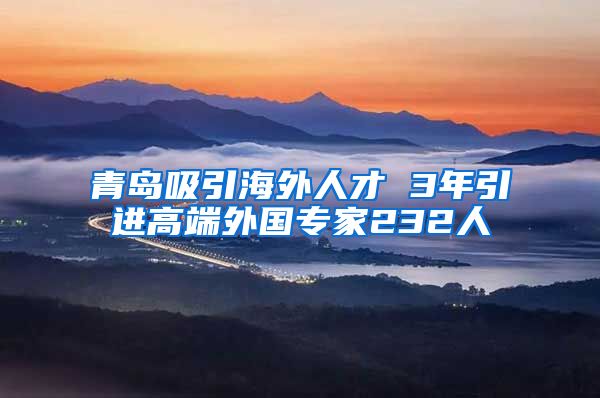 青岛吸引海外人才 3年引进高端外国专家232人