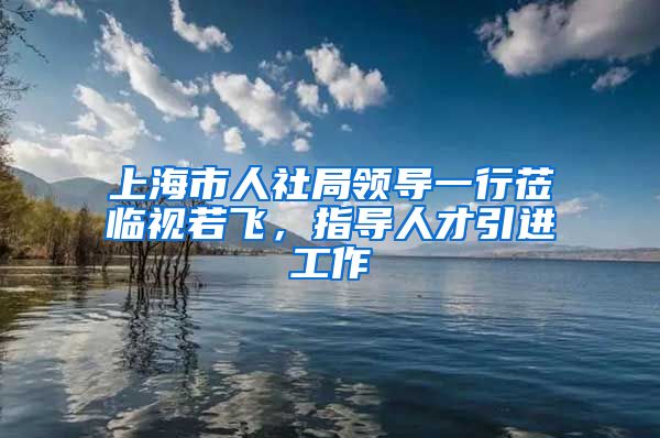 上海市人社局领导一行莅临视若飞，指导人才引进工作