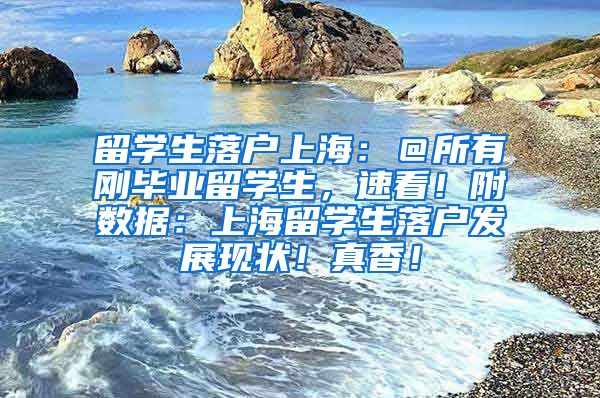 留学生落户上海：＠所有刚毕业留学生，速看！附数据：上海留学生落户发展现状！真香！