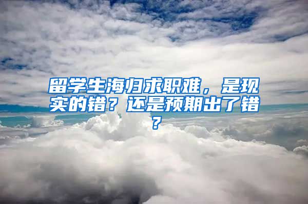 留学生海归求职难，是现实的错？还是预期出了错？