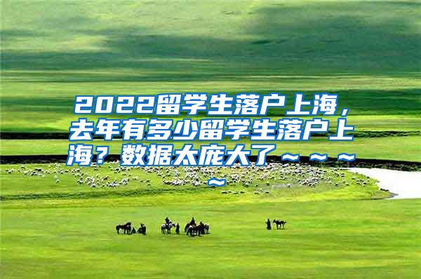 2022留学生落户上海，去年有多少留学生落户上海？数据太庞大了～～～～